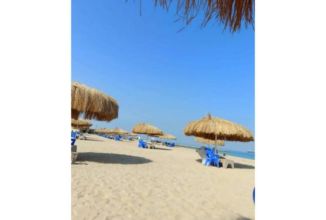 55246383 - الصورة الرئيسية للعقار