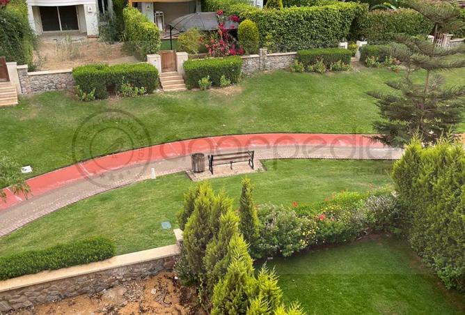 62650668 - صورة العقار 3