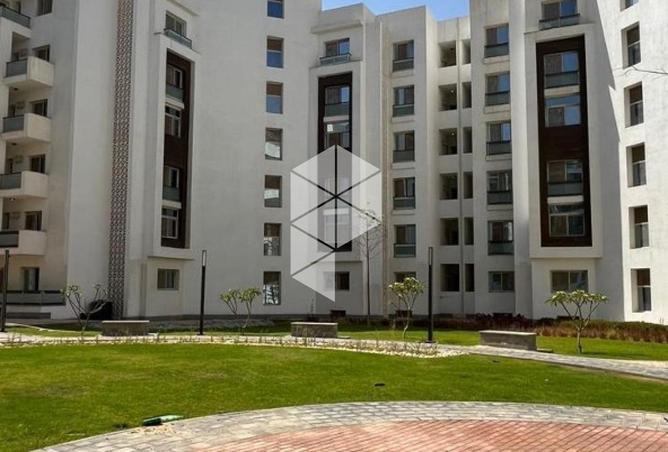 66428761 - Property Image 3