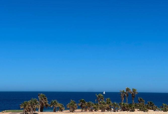 63384771 - Property Image 3