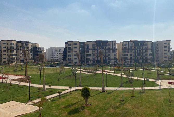 78135648 - صورة العقار 3