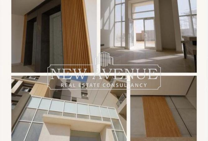 64135779 - صورة العقار 3