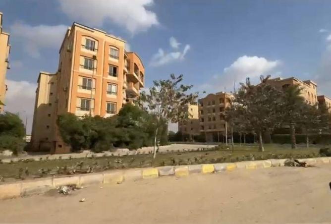 54241608 - صورة العقار 3