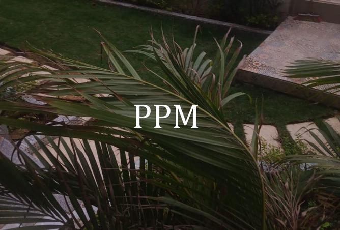 8460133 - صورة العقار 2