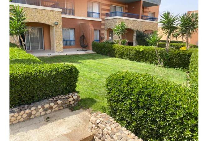 55003940 - Property Image 3