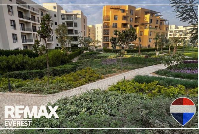 62646493 - صورة العقار 3