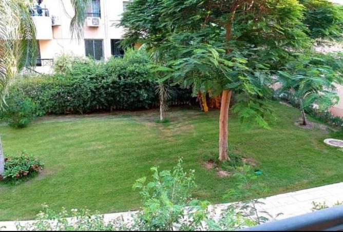 56995943 - صورة العقار 2