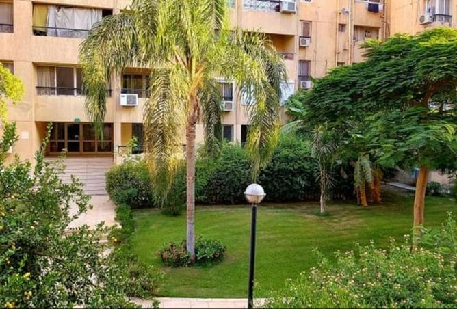 56995943 - صورة العقار 3