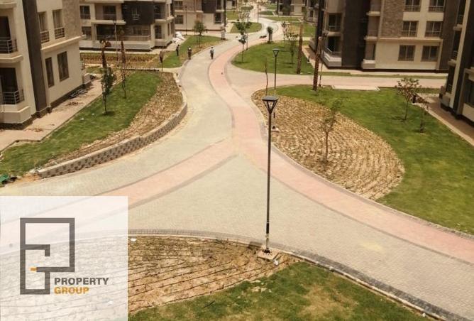 58738106 - صورة العقار 3