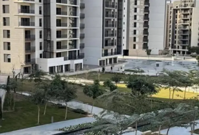 117017819 - Property Image 3