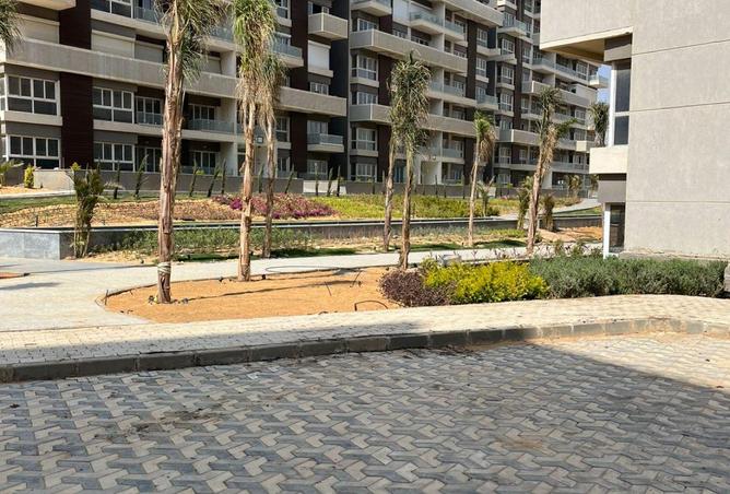 66175307 - Property Image 2