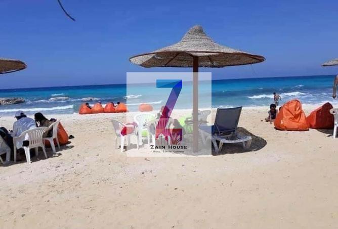 8679915 - Property Image 2