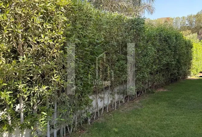109349150 - صورة العقار 3