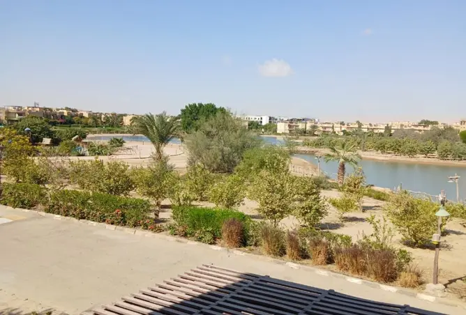 111039816 - صورة العقار 2