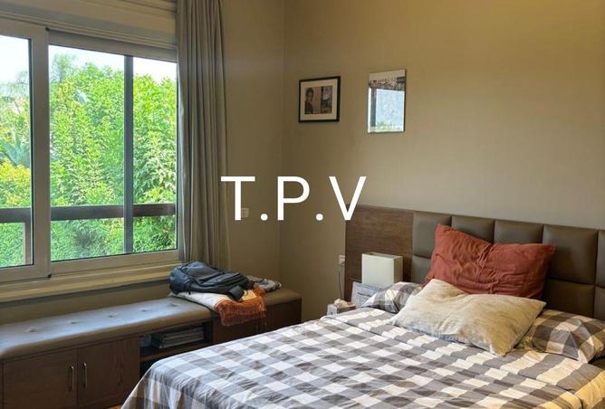 81316130 - Property Image 3