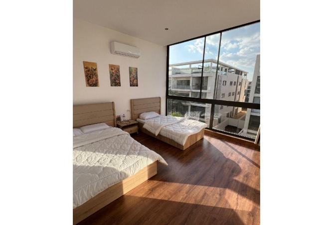 53473047 - Property Image 3