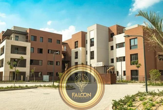 55409718 - Property Main Image