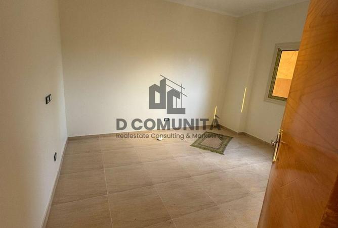 66429911 - Property Image 2