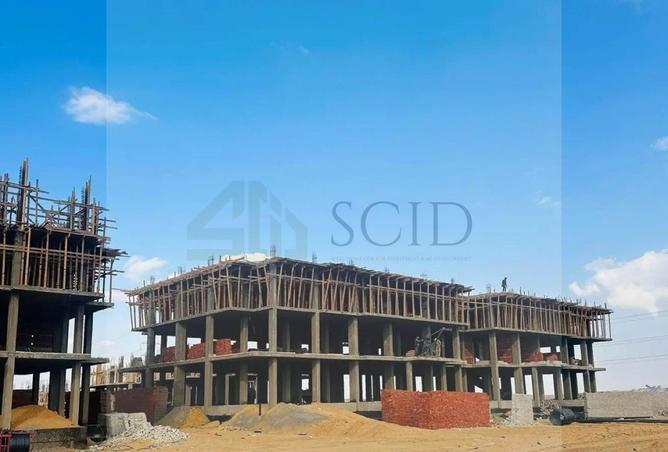 52182646 - Property Image 3