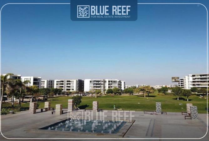 68535906 - صورة العقار 3