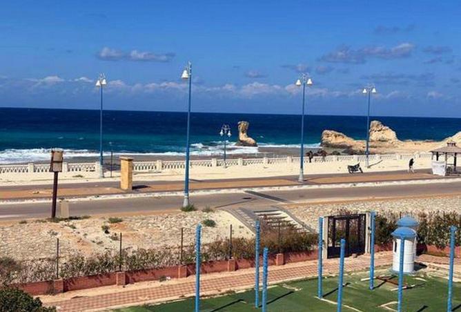 62640746 - صورة العقار 2