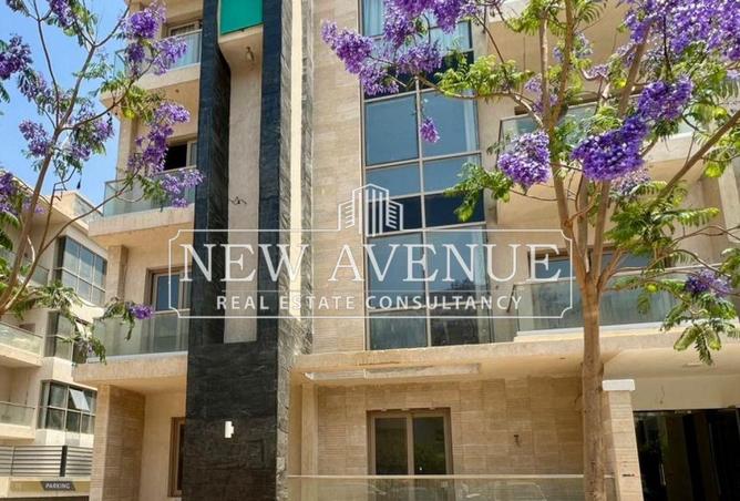 54493045 - Property Image 2