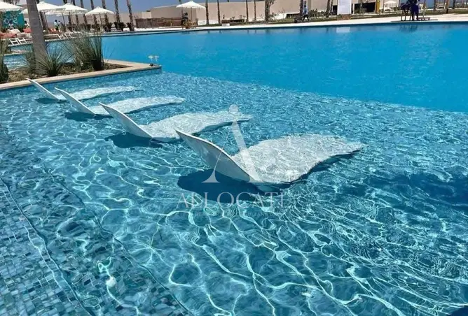 111591663 - Property Image 2