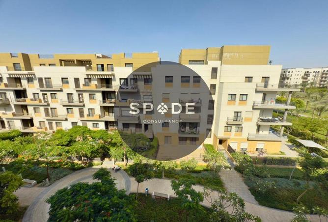 56251495 - Property Image 2