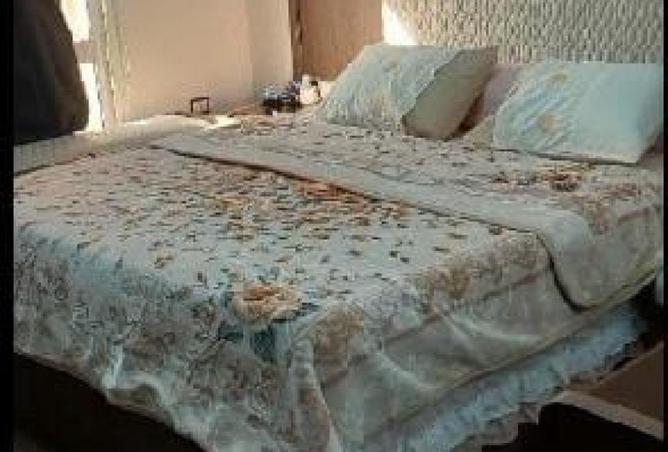 55755449 - Property Image 2