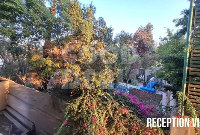 62158630 - صورة العقار 3