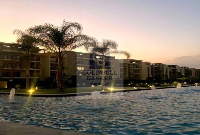 57243062 - Property Image 3