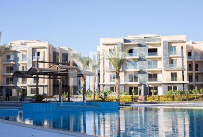 57488015 - Property Image 3