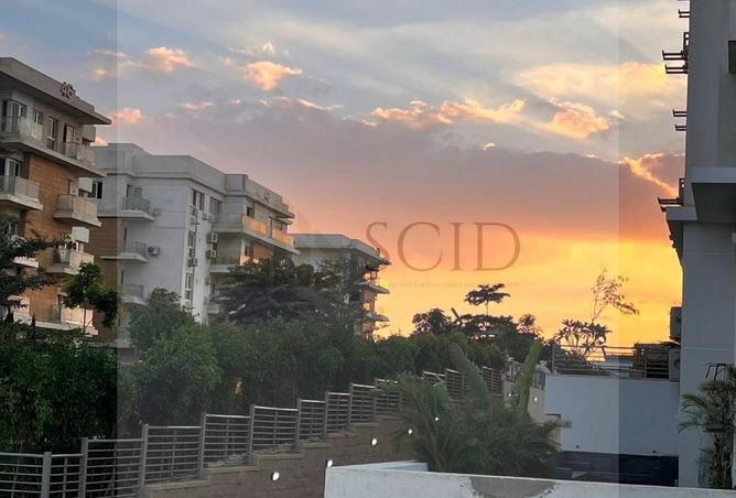 65412866 - صورة العقار 3