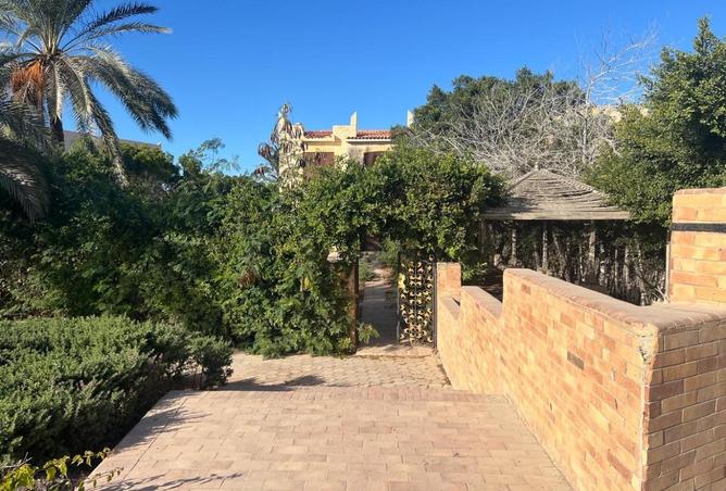 57736228 - صورة العقار 3