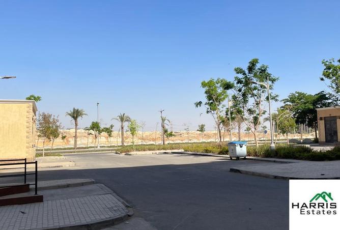81312038 - صورة العقار 2