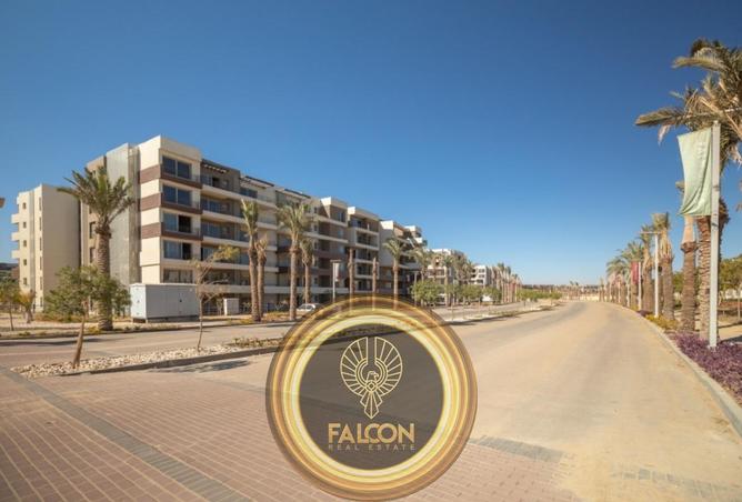 8643825 - Property Image 3