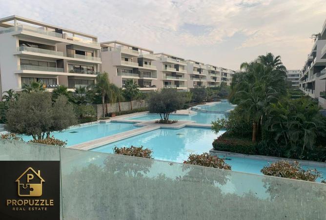 54241637 - صورة العقار 3