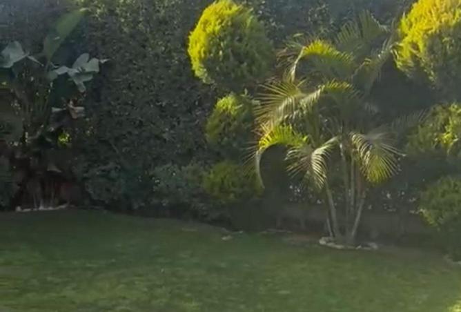 65924683 - Property Image 3