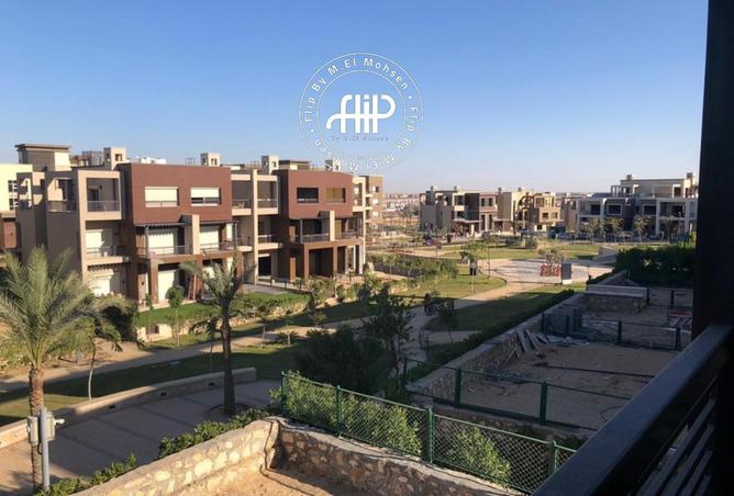 53478252 - Property Image 3