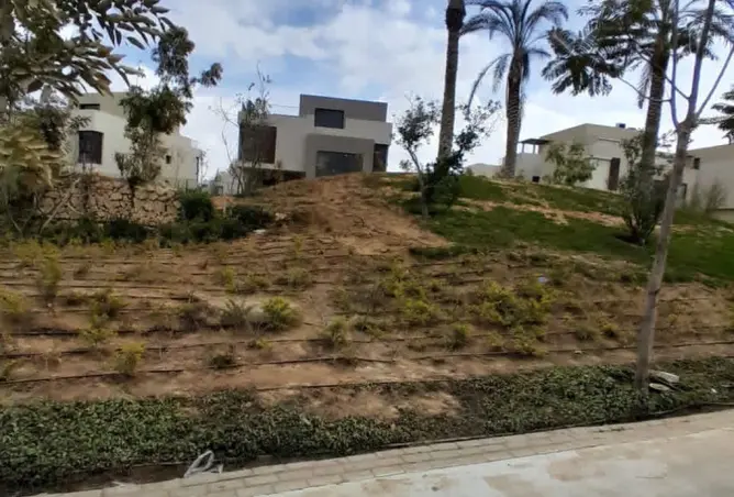 120365154 - صورة العقار 3