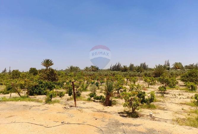 100925642 - الصورة الرئيسية للعقار