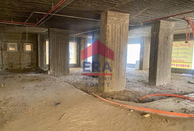 55009060 - Property Image 3