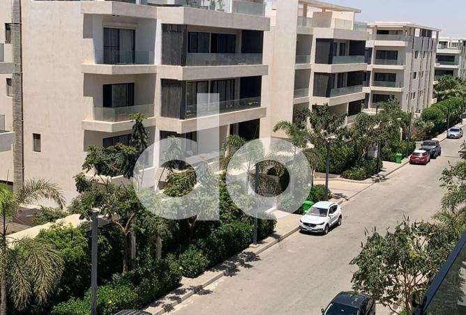 64905125 - Property Image 2