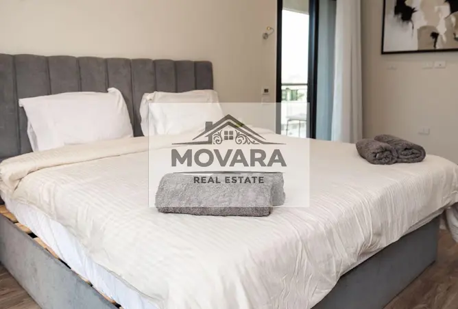 116481369 - Property Image 2