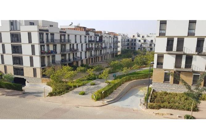 64383026 - صورة العقار 3