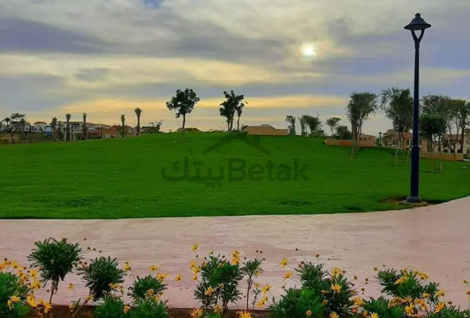 110460309 - صورة العقار 3