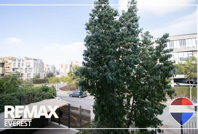 55502746 - صورة العقار 3