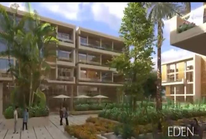 66425563 - صورة العقار 3