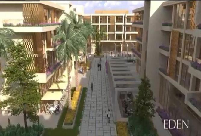 66425563 - صورة العقار 2