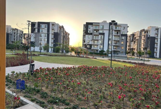 56745796 - صورة العقار 3